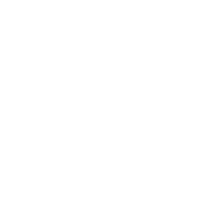 PUESTA EN VIVERO - MAYO