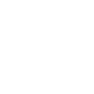 DESCUAJE - de enero a mediados de marzo