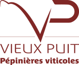 VIEUX PUIT | Pépinières viticoles
